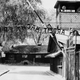 Image for article titled Great News, One in Ten Young Americans Believe the Holocaust Has Been Exaggerated